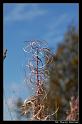 liberator_mw_0359]
